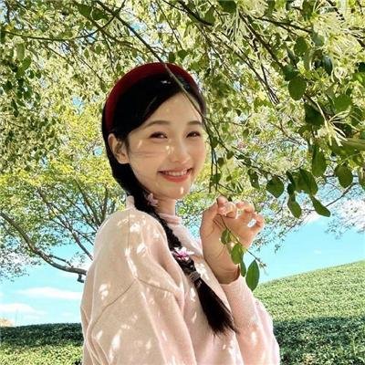 红野菊